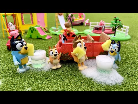Bluey car wash - 30 minutes