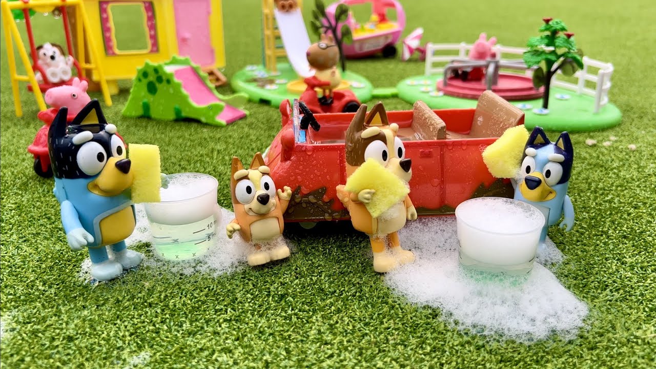 Bluey car wash - 30 minutes