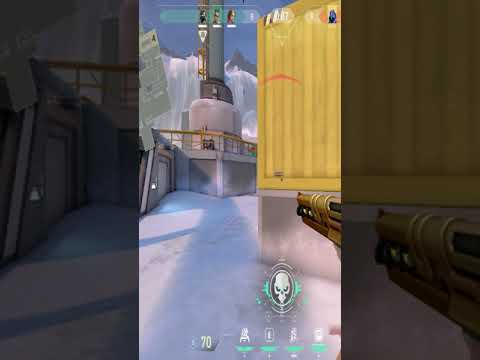 Have you ever seen a CHAMBER triple collat? #Shorts