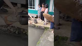 sterek dapat ikan mas merah adek pun bahagia #saungape #fish