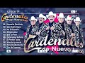 Cardenales De Nuevo León - Top 10 Los Mejores Exitos