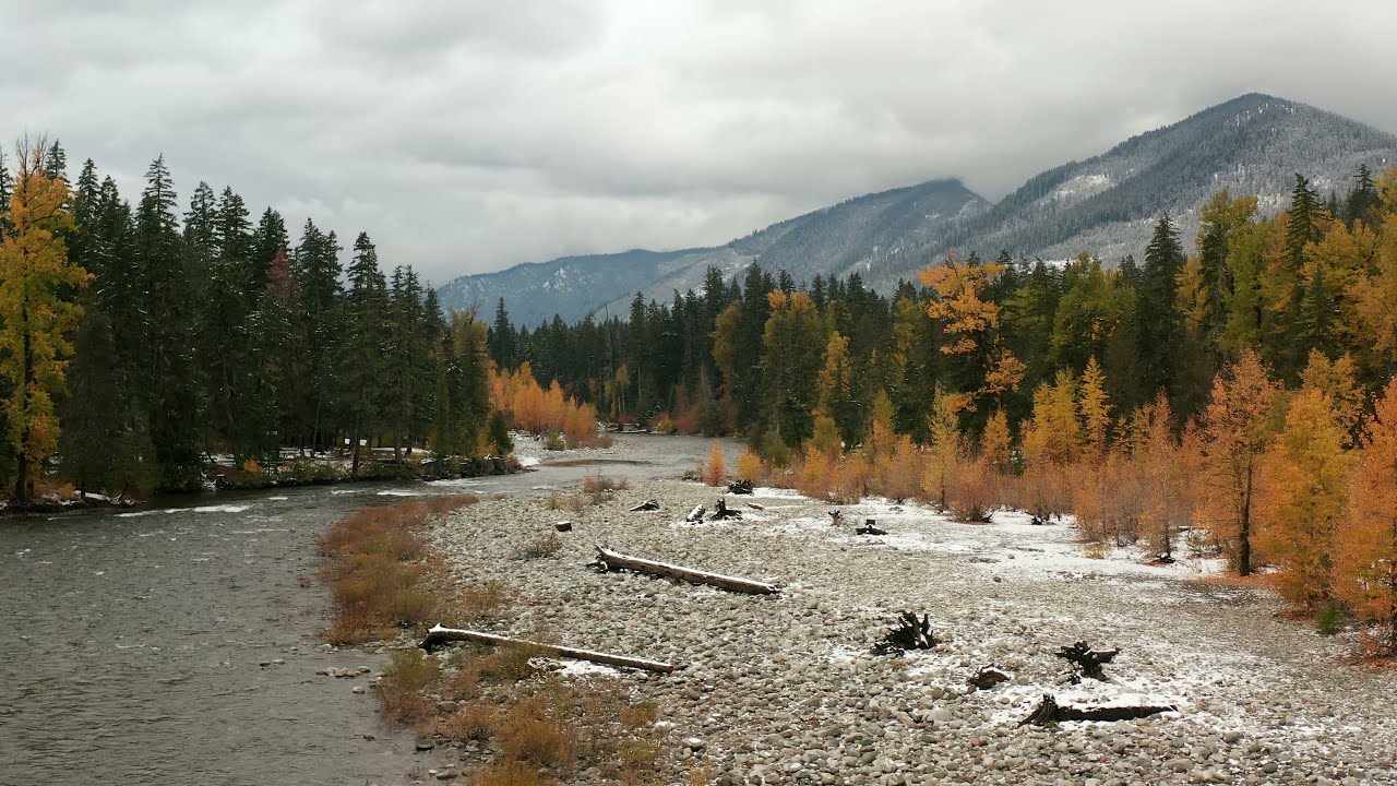 4k Cle Elum River and Beautiful Winter Trees 4k Aerial Drone View