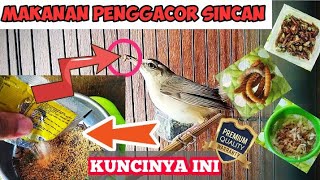 FOOD FOR STAINY BLACK BROW SINCAN CRUST TO MAKE IT SOUND QUICKLY