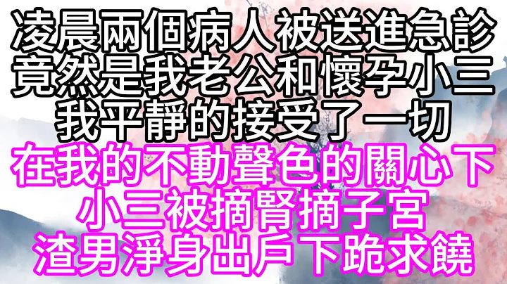 凌晨，两个病人被送进急诊，竟然是我老公和怀孕小三，我平静的接受了一切，在我的不动声色的关心下，小三被摘肾摘子宫，渣男净身出户下跪求饶【幸福人生】 - 天天要闻