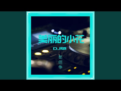 美丽的小花 (DJheap九天版)
