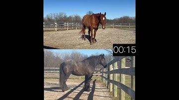 PATH Presentation Video