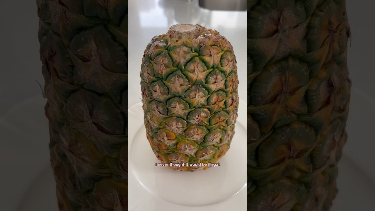 I Did It. I Grew Pink Pineapple Seeds Into A Yellow Pineapple🍍