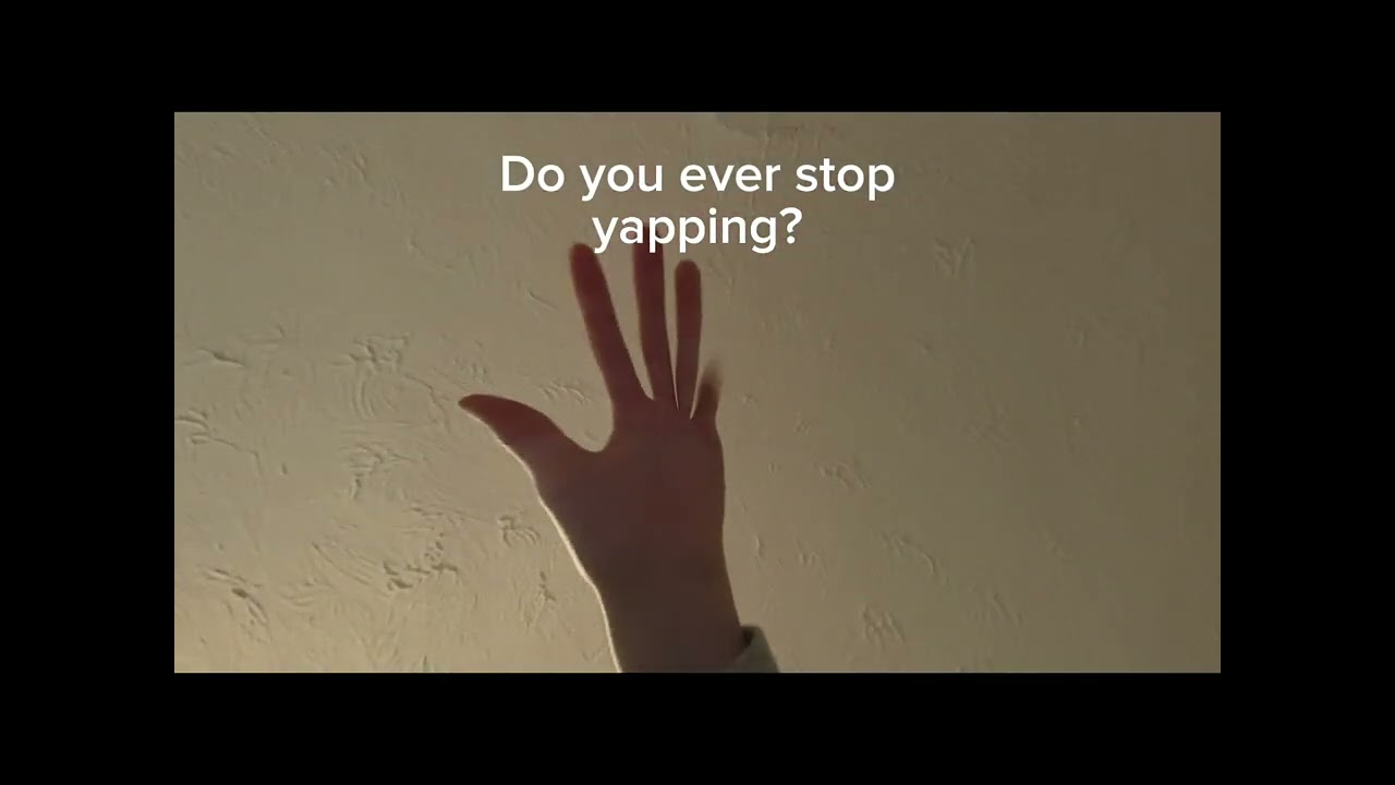 Do You Ever Stop Yapping? #yapyap #meme #art #helpmemakethismakesense