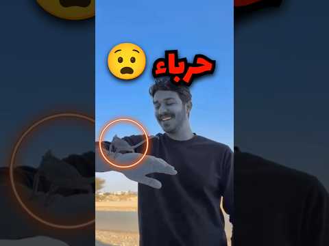تغير لونه بدل مايتغر لون الحرباء صدمه