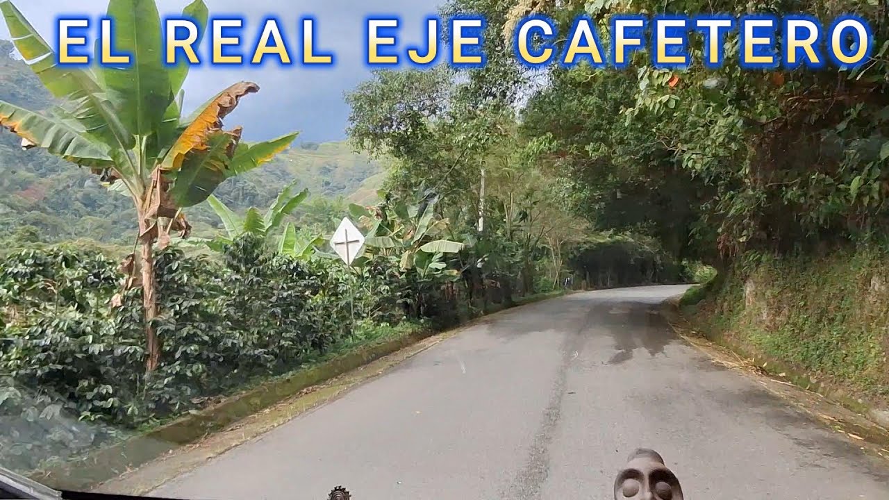 REAL EJE CAFETERO