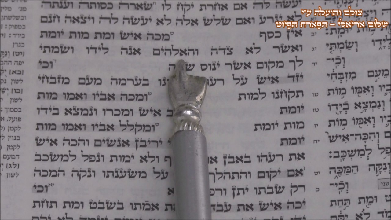 קריאת התורה פרשת משפטים החזן המוסיקאי משה חבושה