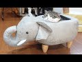 ゾウさんの中で溶けちゃったねこ。-Maru melted in the elephant.-