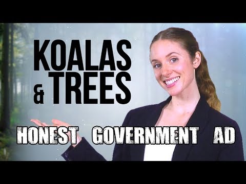 Video: Hvorfor Forsvinder Koalaer?