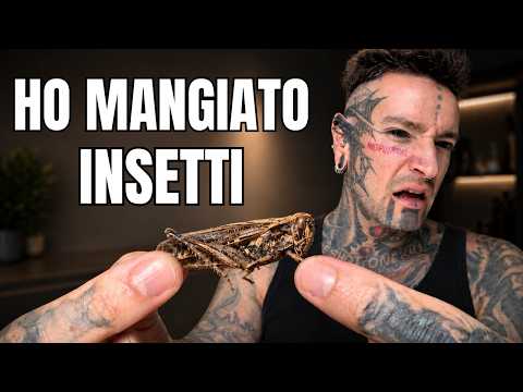 Video Ho mangiato insetti veri… e non dovevo farlo