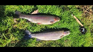 Rockbourne trout fishery, A very nice 9lb+ rainbow. lots off hard fighting trout, great days fishing