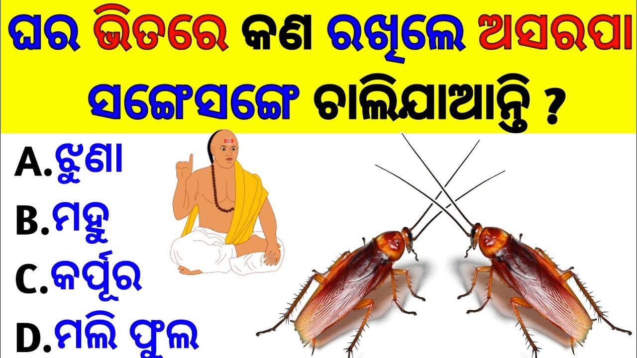Online Quiz Odia Odia dhaga dhamali 2023 Cleaver Question and