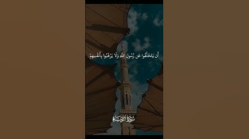 يا أيها الذين آمنوا اتقوا الله وكونوا مع الصادقين #اكسبلور #المصحف #آيات #القرآن_الكريم #لايك