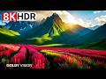 Absolutely The Best 8K HDR™ Video Yet | Dolby Vision 240fps For 8K/4K TV