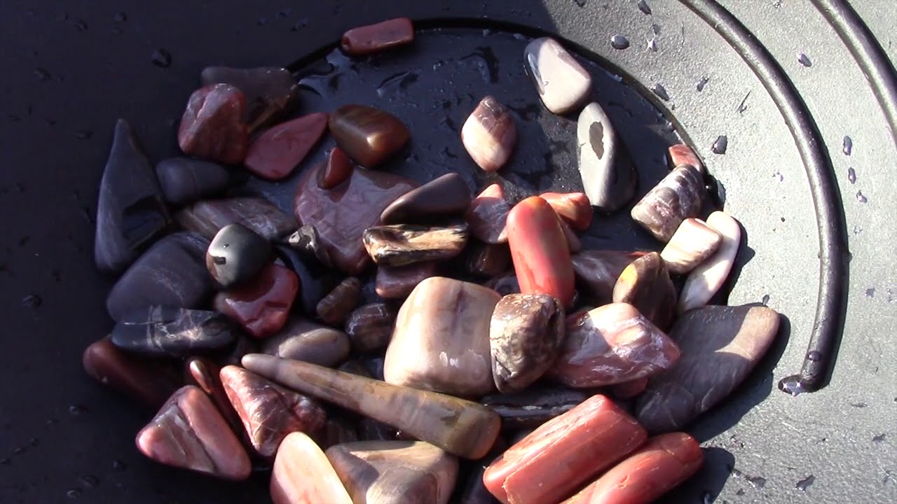 ROCK TUMBLING PETRIFIED WOOD using 2 stage process POLISH YouTube