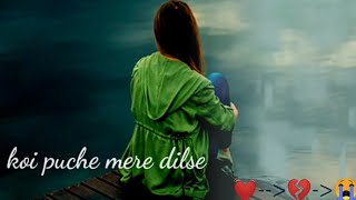 Download Lagu koi puche mere dilse😥 female version// Sad whatapp status// koi_dard_na_jane MP3