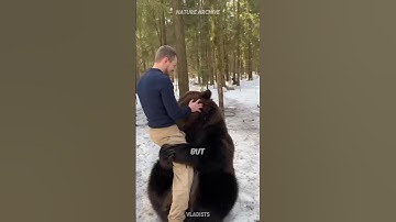 How to survive a bear attack 🐻