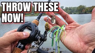 Spinnerbaits are STILL a TOP Bass Lure (Fall Bank Fishing)