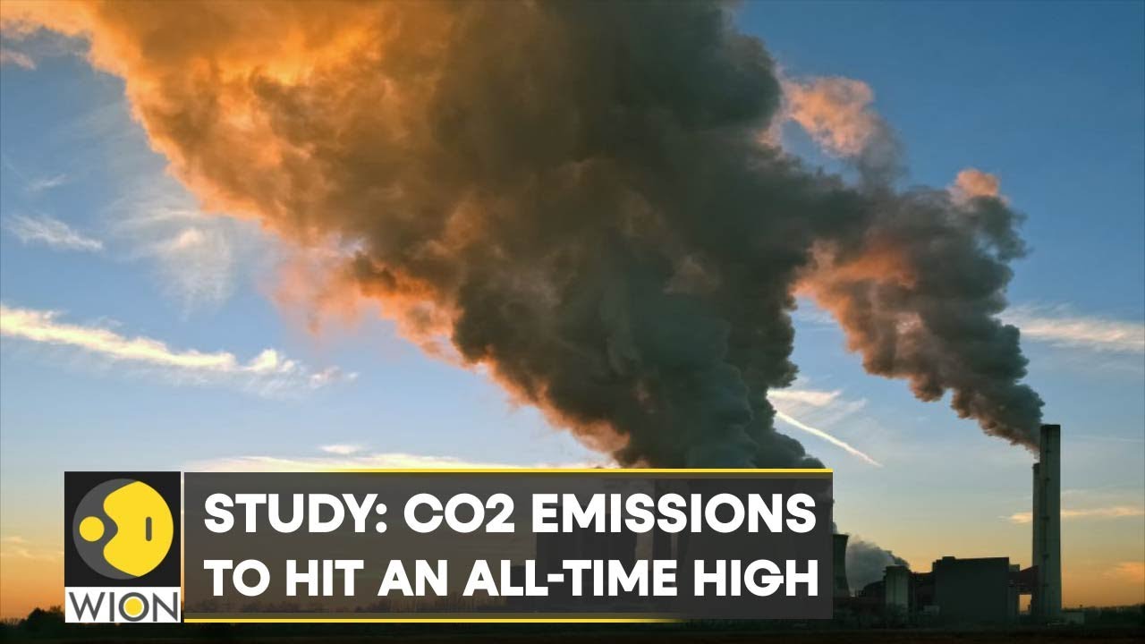 WION Climate Tracker | Study: CO2 emissions to hit an all-time high | World English News | WION