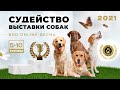 BRD-ONLINE ВЕСНА Группы с 5-10 HD Качество