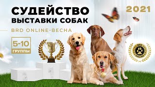 BRD-ONLINE ВЕСНА Группы с 5-10 HD Качество