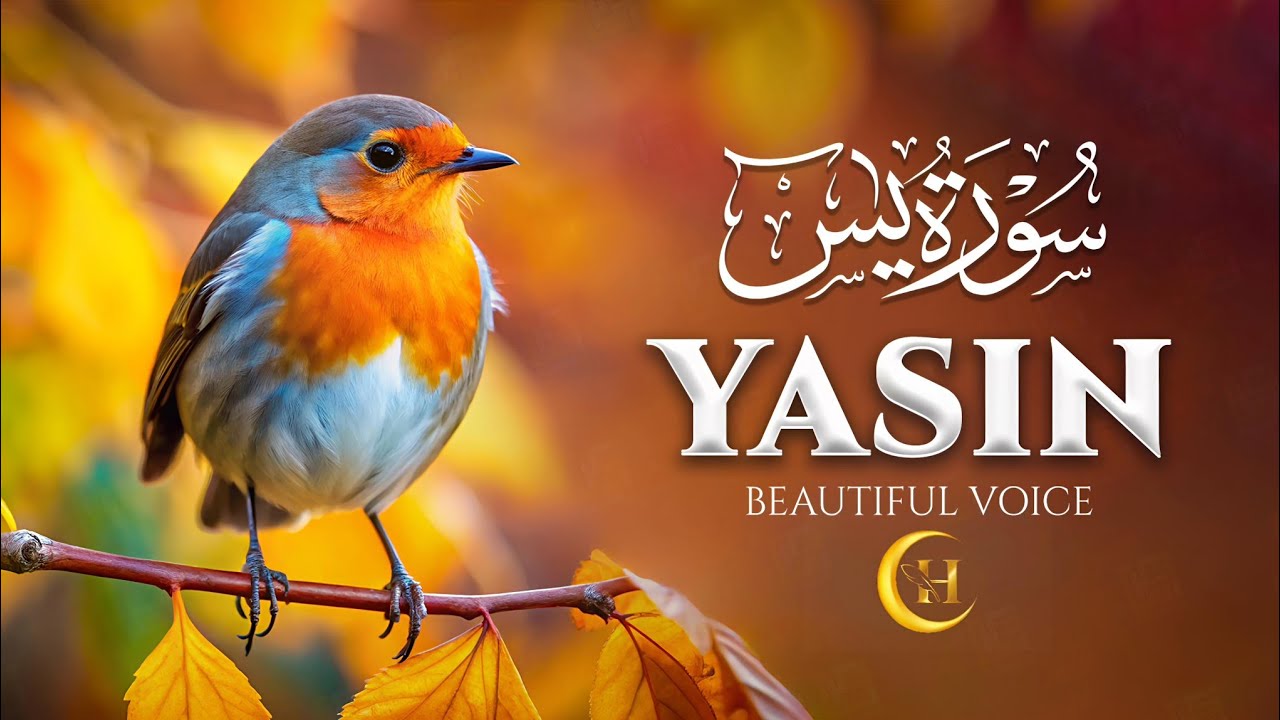 Surah Yaseen (Yasin) سورة يس | Soothing Lofi Quran for Ultimate Protection & Deep Sleep #lofiquran