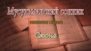 К чему снится Слюна сонник, толкование сна К чему снится Слюна сонник, толкование сна