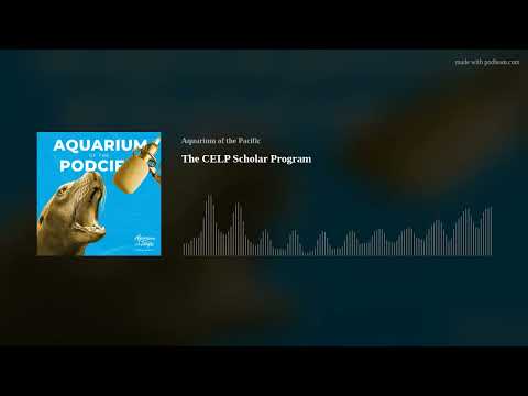 Aquarium of the Podcific: The CELP Scholar Program