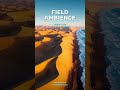 Field Ambience Focus Sounds #Shorts | Desert Ocean, No Vocals
