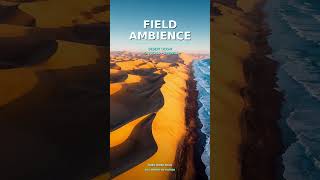 Field Ambience Focus Sounds #Shorts | Desert Ocean, No Vocals