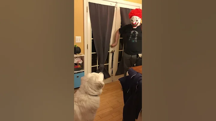 Theodore is not a fan of masks