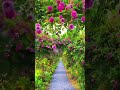 الله نور السموات والأرض ✨️✨️ #shortvideo #fypシ゚viral