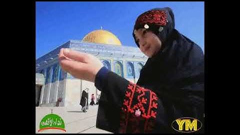 27 An Naml Abdullah Kamel سورة النّمل