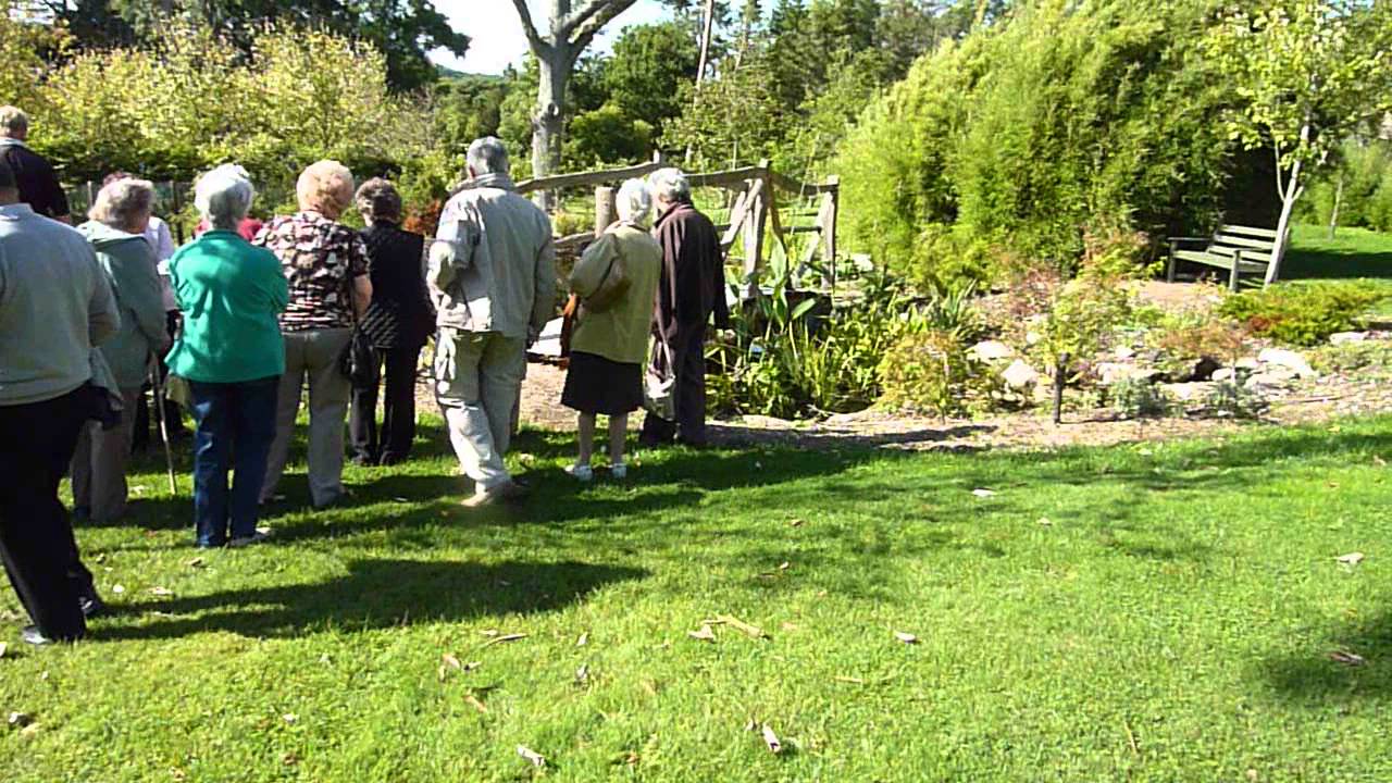 Spinners garden YouTube