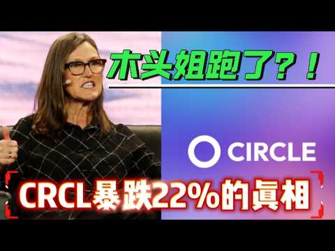 Circle Share-Price Volatility and Market Information thumbnail