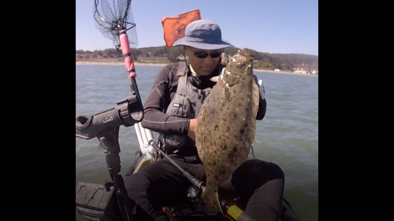 Halibut Fishing near Golden Gate Bridge using live anchovies 