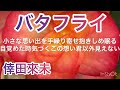 【歌ってみた】バタフライ/倖田來未       原キー 女 歌詞付き カバー cover by風呼アローラ