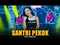 Via amelia  santri pekok  official live music 