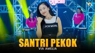 VIA AMELIA - SANTRI PEKOK ( Official Live Music Video )