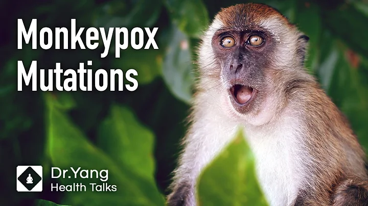 Monkeypox Virus: What Is It And How Does It Spread?"