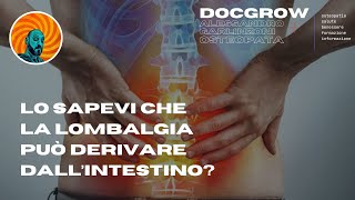 Intestino E Lombalgia, Unassociazione A Delinquere