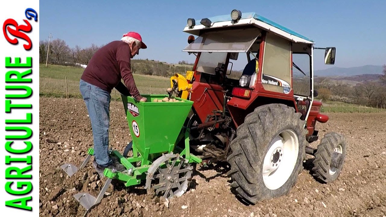 Semina patate 2022 - Giemme PT65