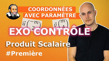 Trouver le PARAMÈTRE "m" pour que les 2 vecteurs soient ORTHOGONAUX - Première - Exercice corrigé