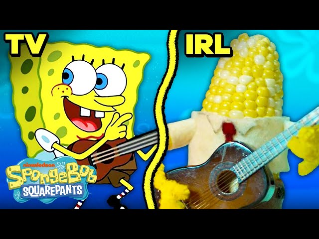 Our C-A-M-P-F-I-R-E S-O-N-G SONG : r/spongebob