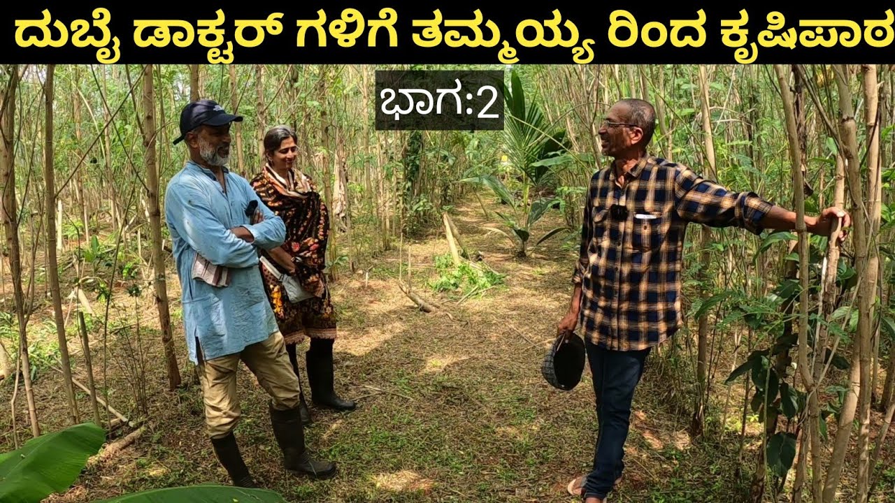 ದುಬೈ ನಿಂದ ಒಂದು ಕಾಲ್ ಬಂತು...ಆ ಡಿಲ್ ಏನಂದರೆ ತೋಟ ಮಾಡೋದು.. ತಮ್ಮಯ್ಯ ರ ಮಾರ್ಗದರ್ಶನದಲ್ಲಿ ದುಬೈ ಡಾಕ್ಟರ್ ಗಳ ತೋಟ