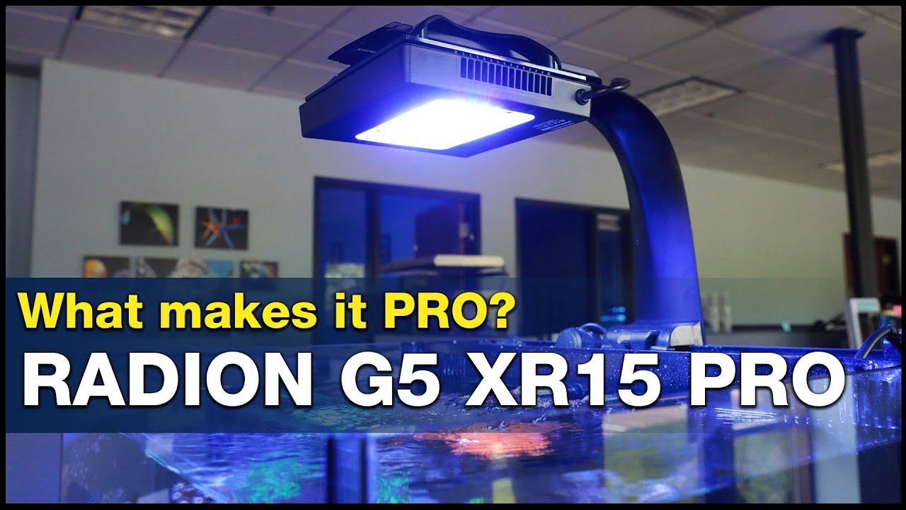 This is what it means to go PRO! How to Master your tank lighting using  Radion G5 XR15 Pro's!